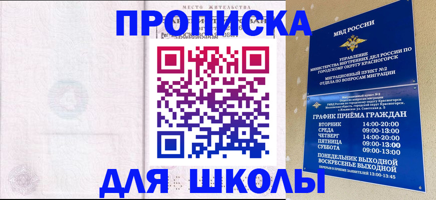 временная регистрация госуслуги в Волосово